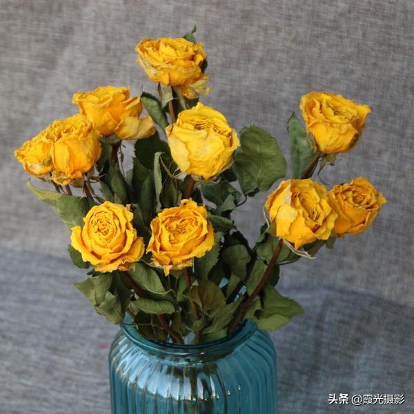 怎么做保持原花色的干花,如何制作干花保持得久