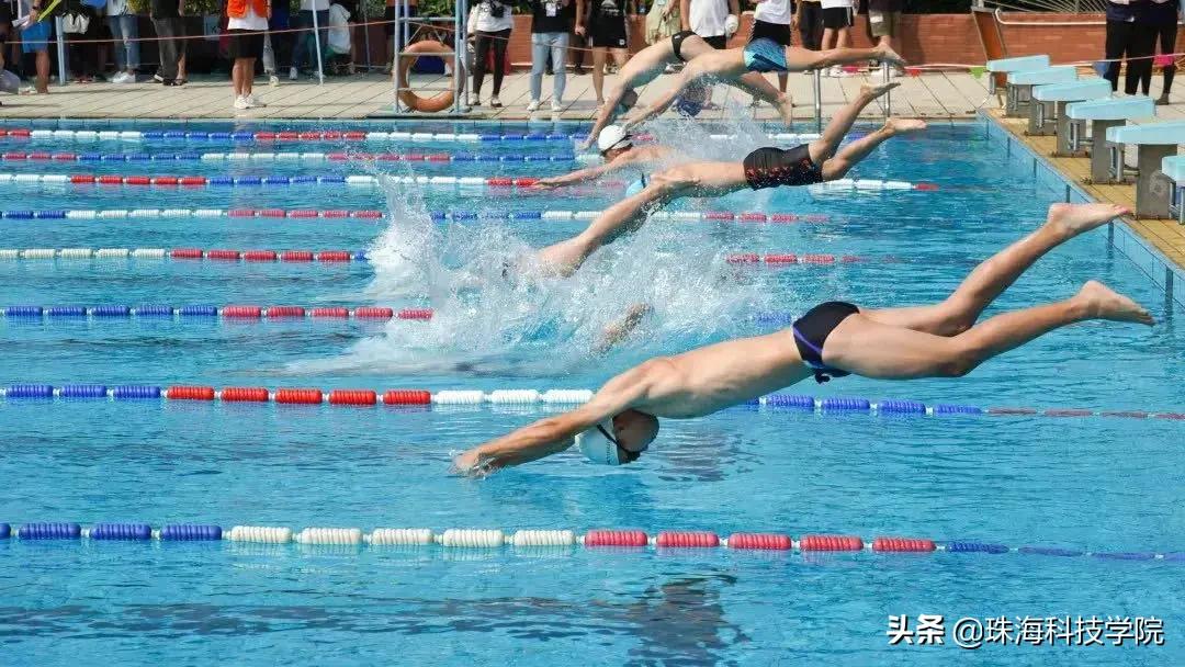 新生攻略校区介绍,新生竞技攻略