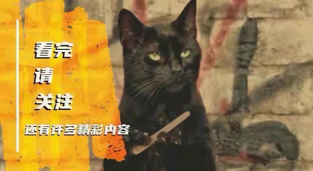 家里的“扑棱蛾子”是哪来的？怎么摆脱它们？