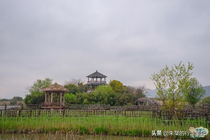 江南最大湿地风景区，不是西溪湿地，荣获中国最美湿地却少有人知
