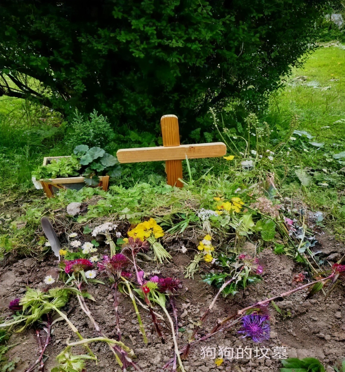 从英国回国为什么要转机,从英国回国需做哪些准备