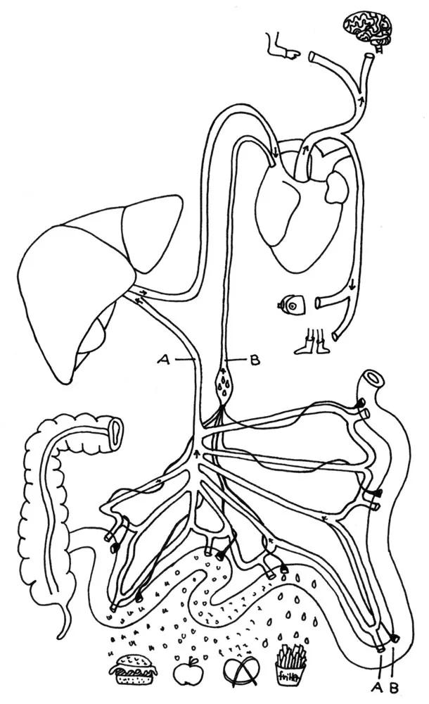 肠子的小心思书籍简介,肠子的小心思科普