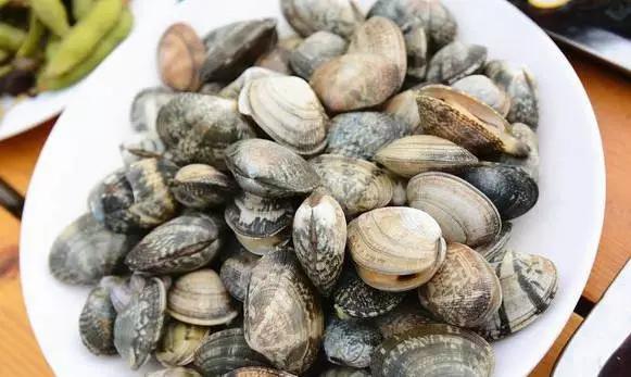 来一盆花蛤，藏不住的鲜