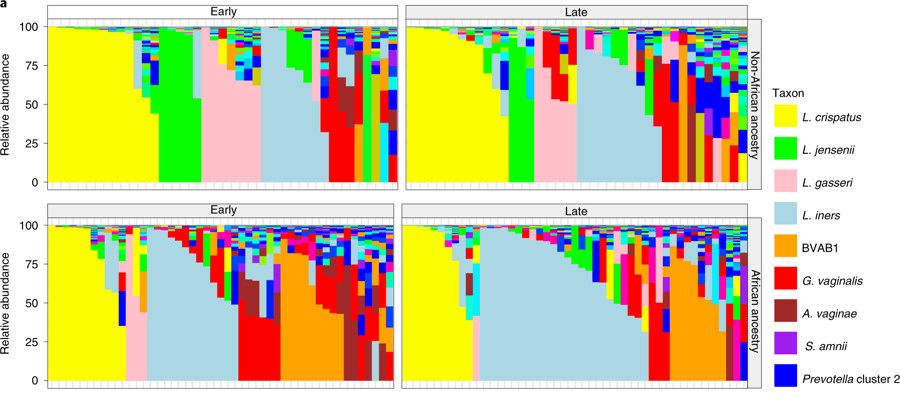 iHMP第三弹|孕期阴道微生物与种族差异