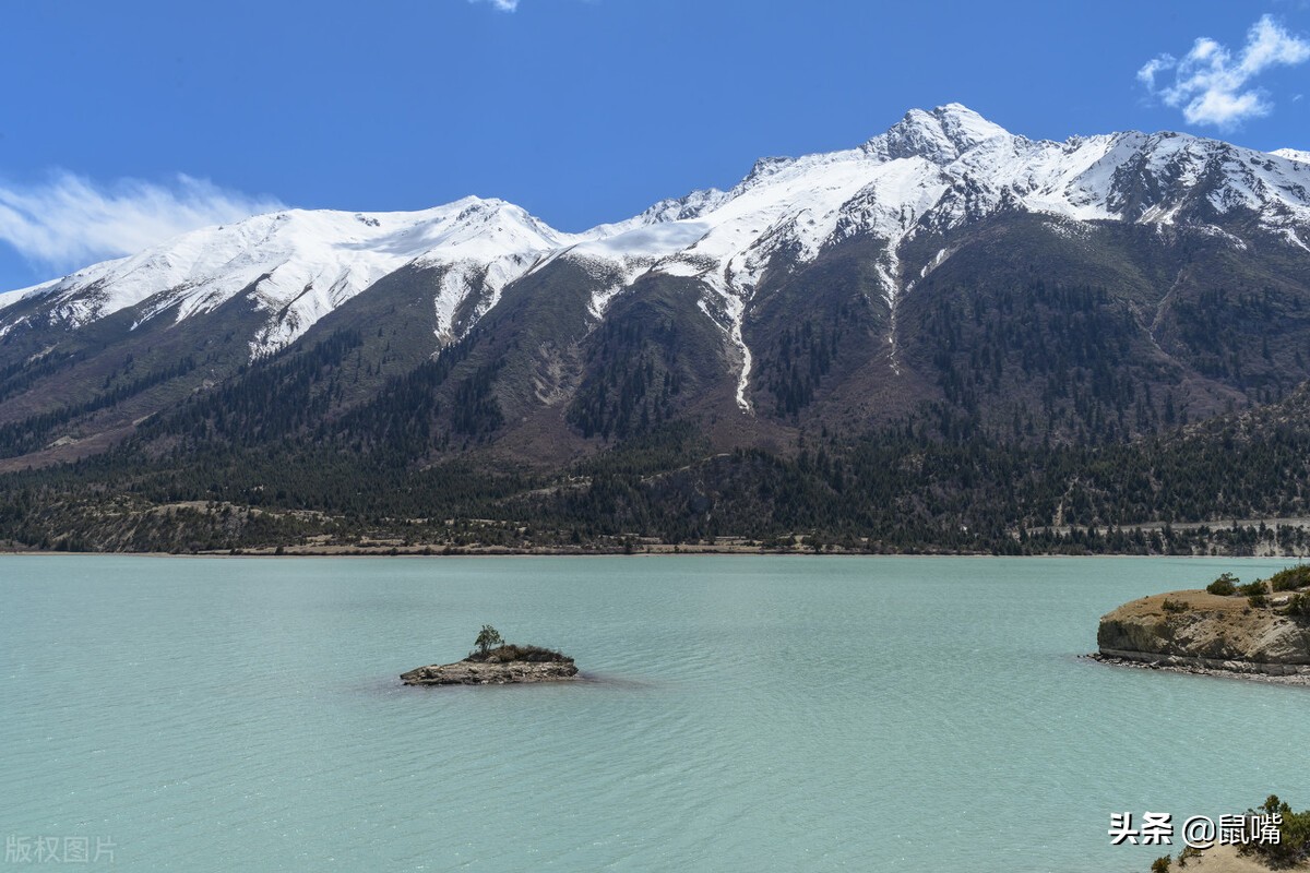 世说新语二则原文翻译完整版,世说新语五则原文及译文