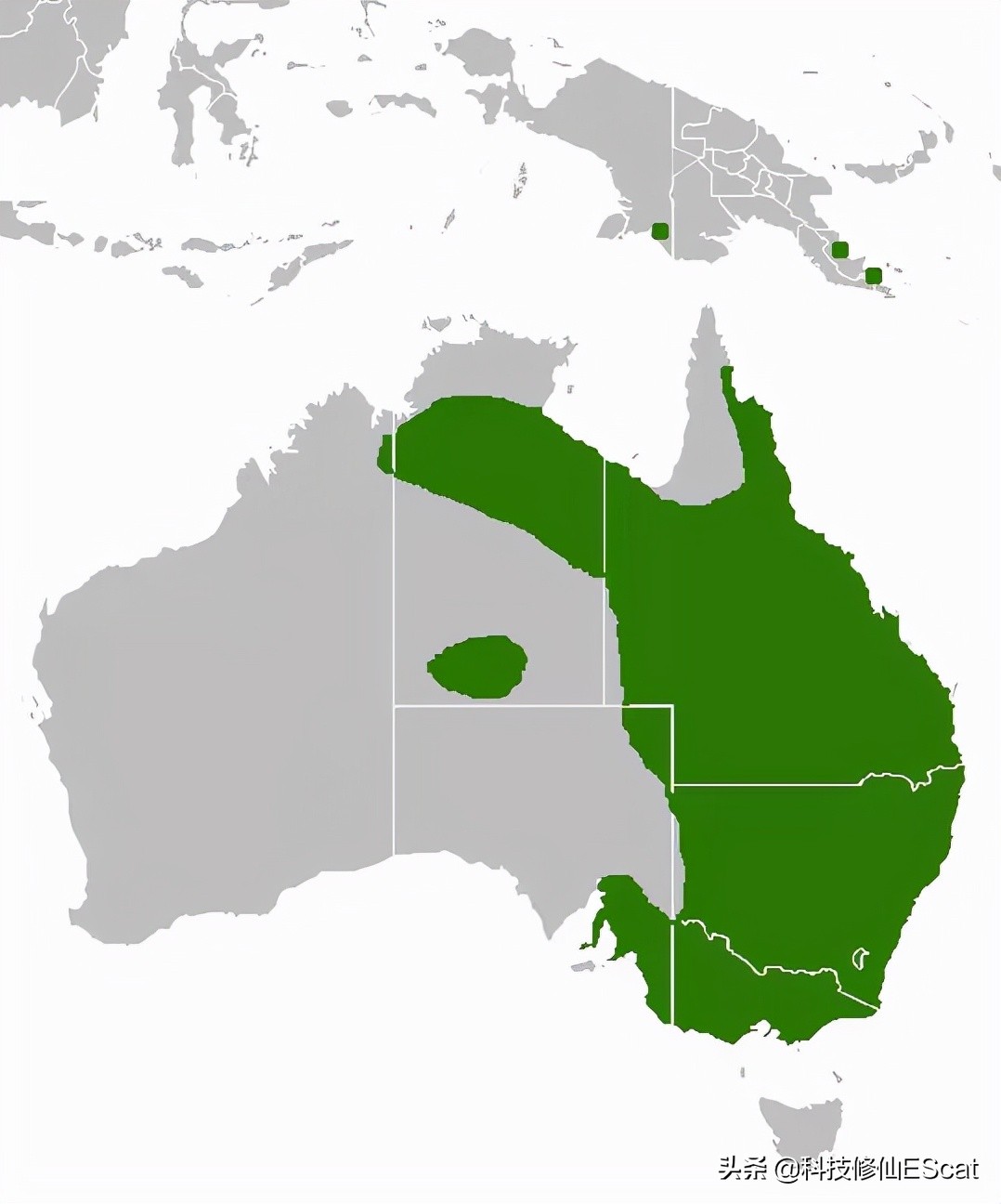 两条毒蛇互相咬会怎么样,两条毒蛇相互咬一口都会死吗