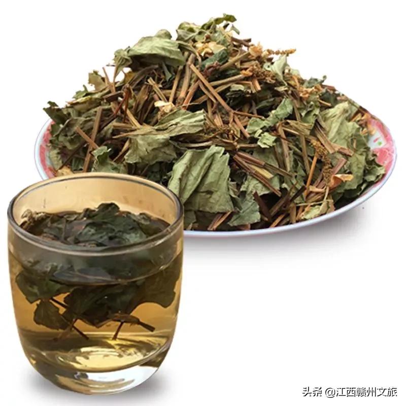 客家人说的狗舌藤什么功效,客家话狗贴耳