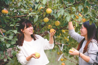 「飞阅大沈阳」瞰沈北：金秋赏美景沈北欢迎你