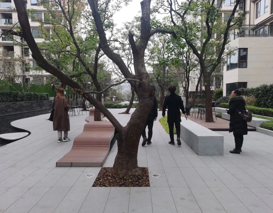 易境研学·重庆站|第一期