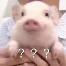 农民养猪为何难以致富,养猪致富案例视频