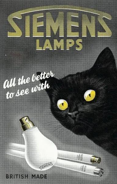 为什么古早广告会出现猫,为何古早广告中经常出现猫