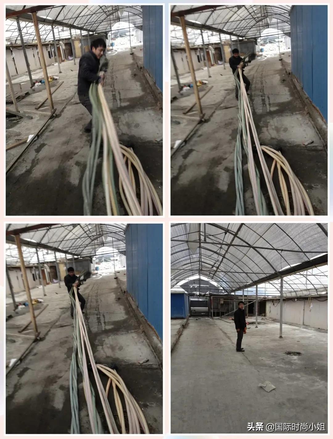 老纪是个什么人物,一个历史上的传奇人物