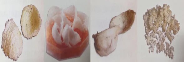 真假燕窝的快速鉴别方法,燕窝造假现场