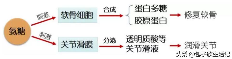 氨糖钙片中老年补钙,氨糖钙片能补充些什么