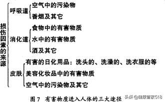 怎样管理好自己的健康,怎样才能使自己的身体健康