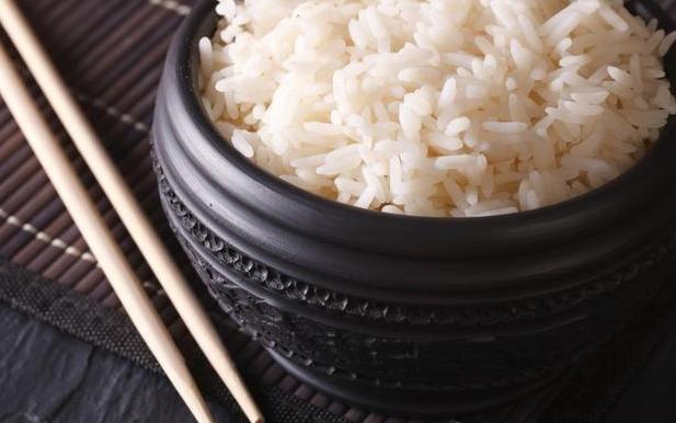 养狗的狗狗能吃什么,养狗知识大全不咬人