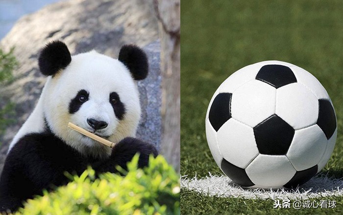 文物戏精大会里的文物,文物戏精大会