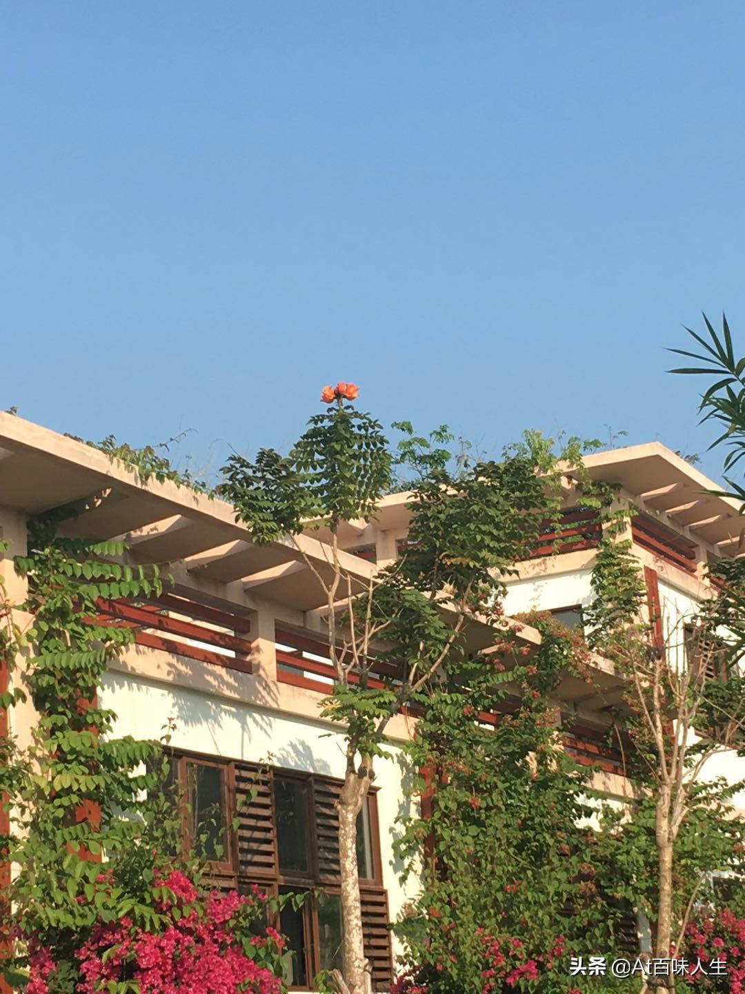 三亚亲子游攻略2-3岁儿童自由行,三亚12月旅游攻略3天自由行含机票