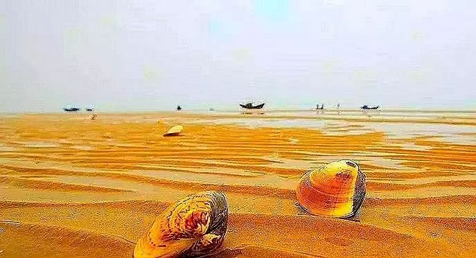 【读历史游盘锦】清晓水如镜，隔海人似鸥渤海金滩蛤蜊岗