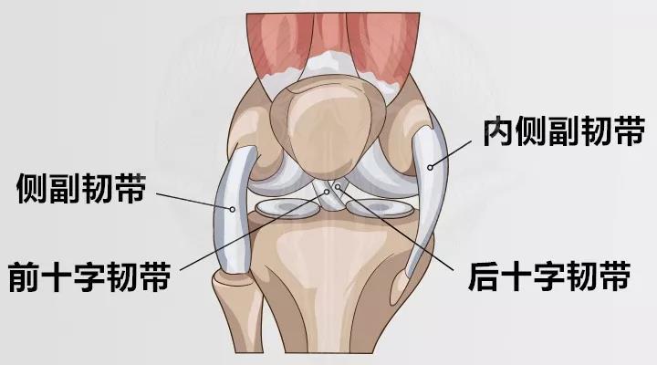 深蹲膝盖超过脚尖的危害,深蹲膝盖不能弯曲到90度