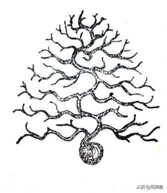 丛林式盆景欣赏,盆景欣赏及制作