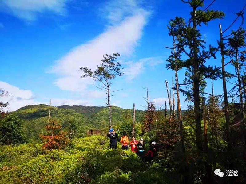 温州居然有这么美的小众景点,温州青龙山风景区在哪里