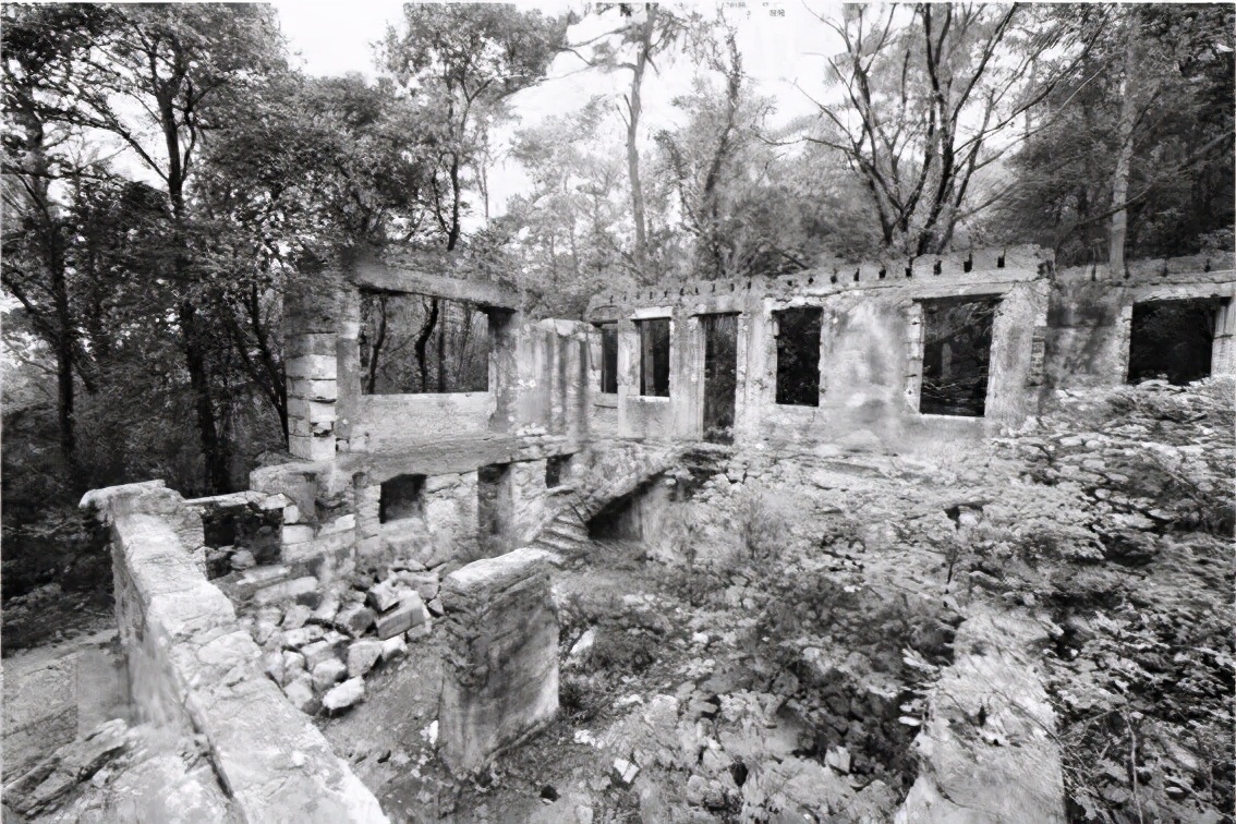 南京紫金山保卫战的前因后果,南京保卫战紫金山战役图片