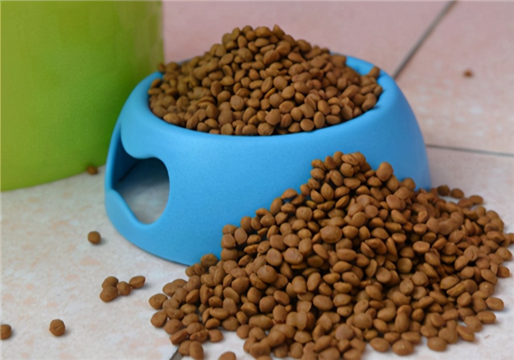 养宠小知识狗狗两天没大便严重嘛,养狗狗不吃食怎么办