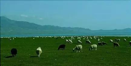 新疆十八怪原版,新疆十八怪风景