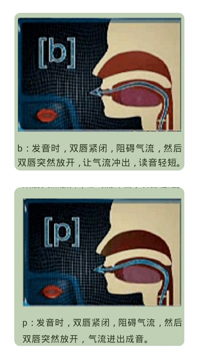 拼音音标学习方法,拼音音标学习最快的方法