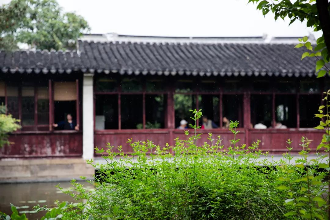 苏州园林静谧之美,苏州小众园林