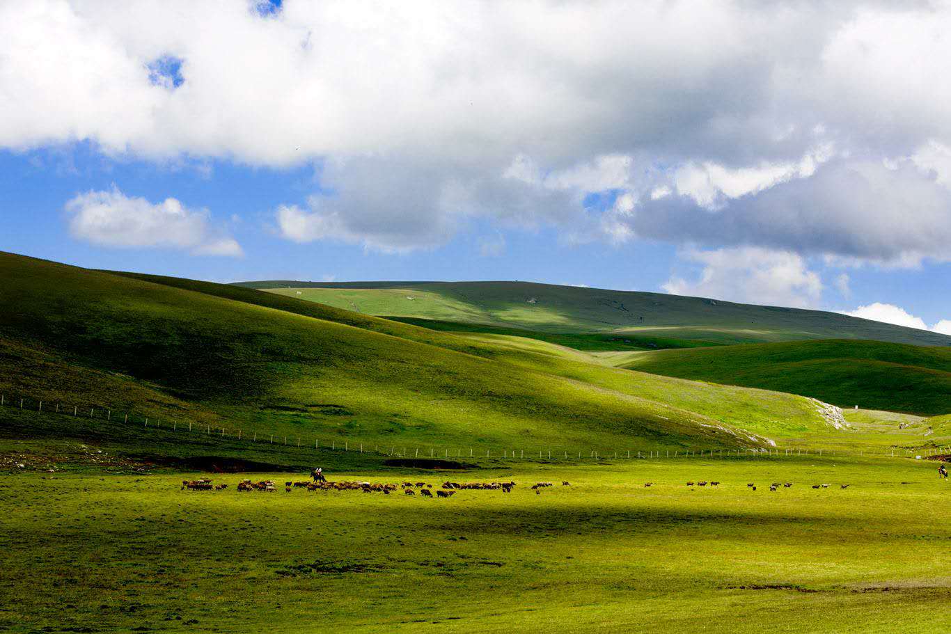 新疆怎么分东疆南疆北疆西疆,南疆北疆包括哪些地方