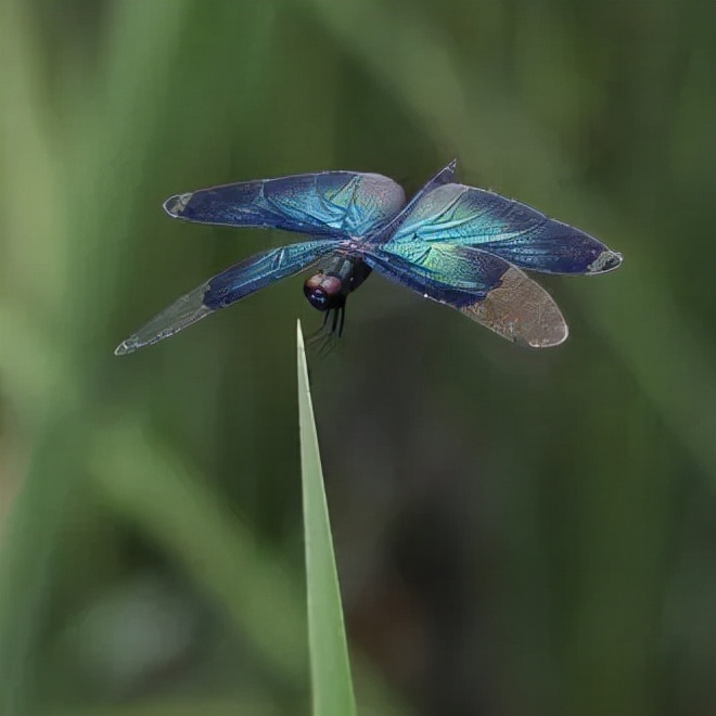 合肥融创茂宝藏秘境,合肥宝藏地