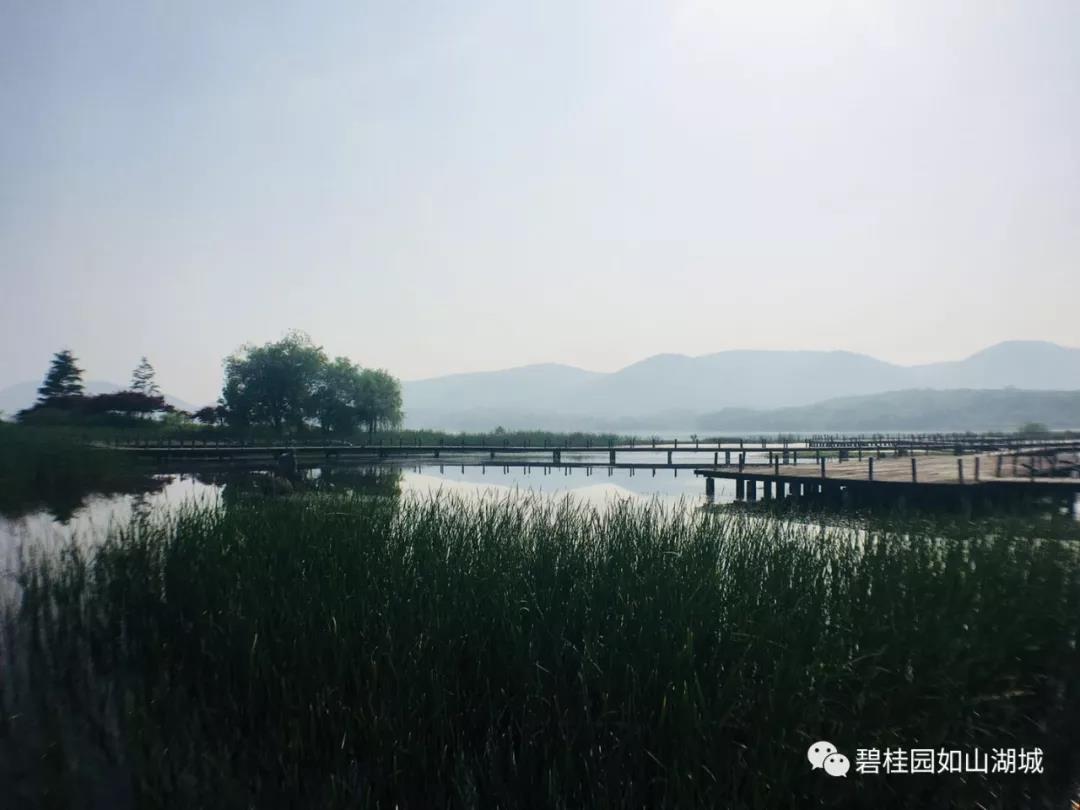 碧桂园体育公园武术大会,碧桂园文化艺术节