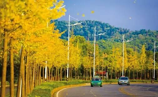 为什么工资那么低却不进厂,工资不高为什么要定居黄石