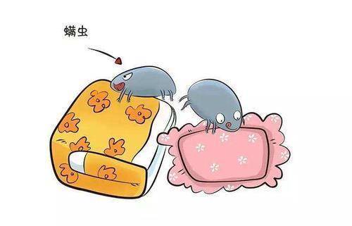 头皮上长小红疙瘩是上火引起的吗,头皮上长小红疙瘩什么引起的