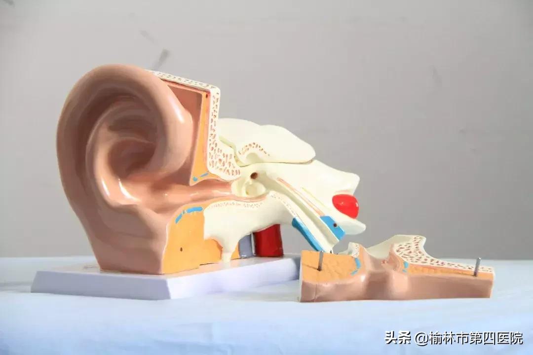 眩晕不可怕，可怕的是你不了解眩晕！