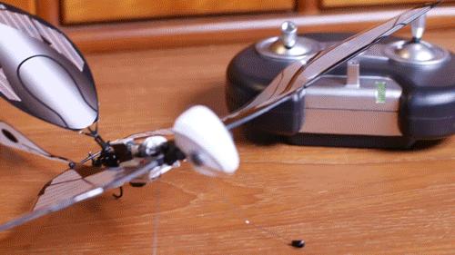 仿生鸟扑翼无人机,法国遥控仿生昆虫