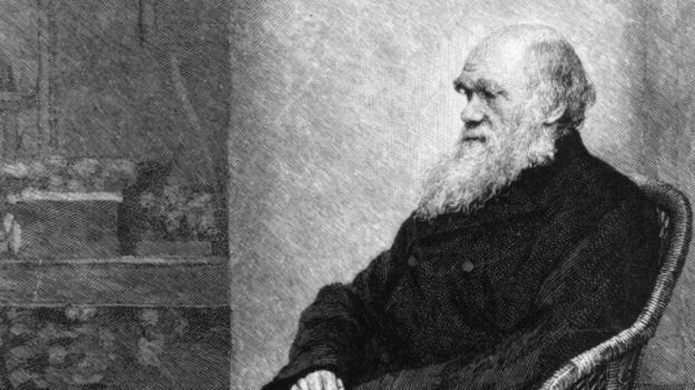 秃头有哪些意想不到的好处？