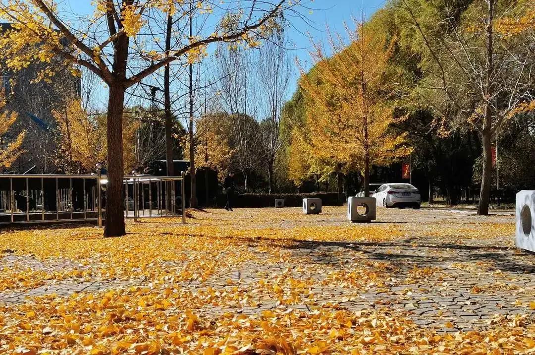 沈阳理工大学辽宁工程技术大学,沈阳理工大学专科院校