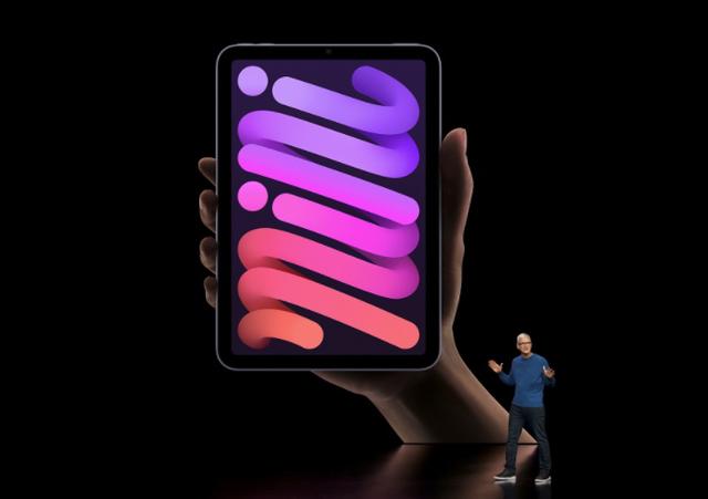 ipadmini6更新ios15.4,ipadmini6可以降到ios13吗