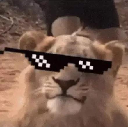 mac新年限定值得入手,mac新品限定