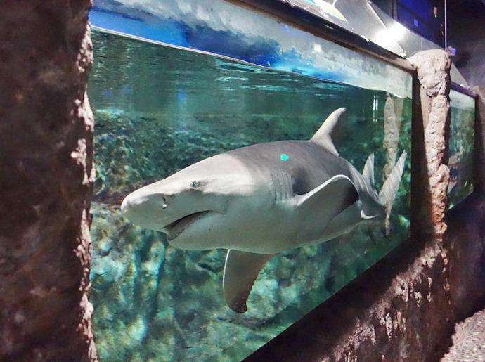 北京工体富国海底世界周一营业,北京工体富国海底世界旅馆