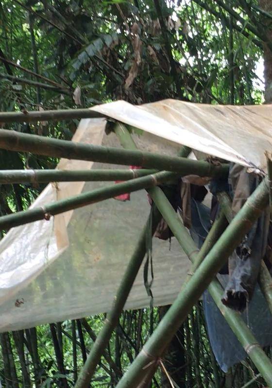 马航mh370柬埔寨找到了吗,马航mh370柬埔寨具体地点