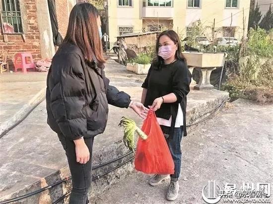 足不出户怎么办？永春蓬壶“云圩市”解忧菜农销售难题