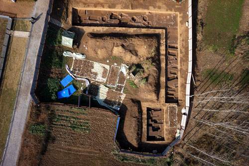 蜜蜂文化系列,昆虫中的蜜蜂文化