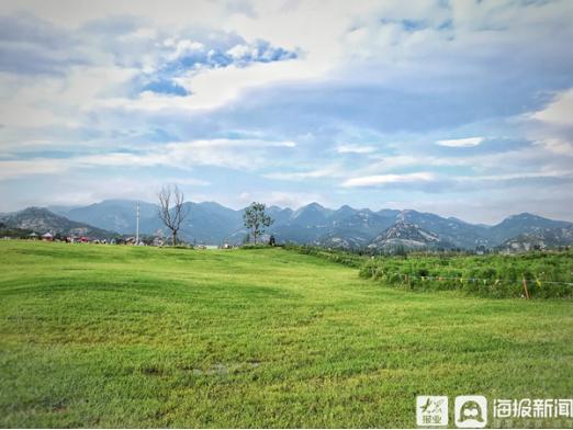 20多家主流媒体齐聚,一百多家媒体关注蒙阴