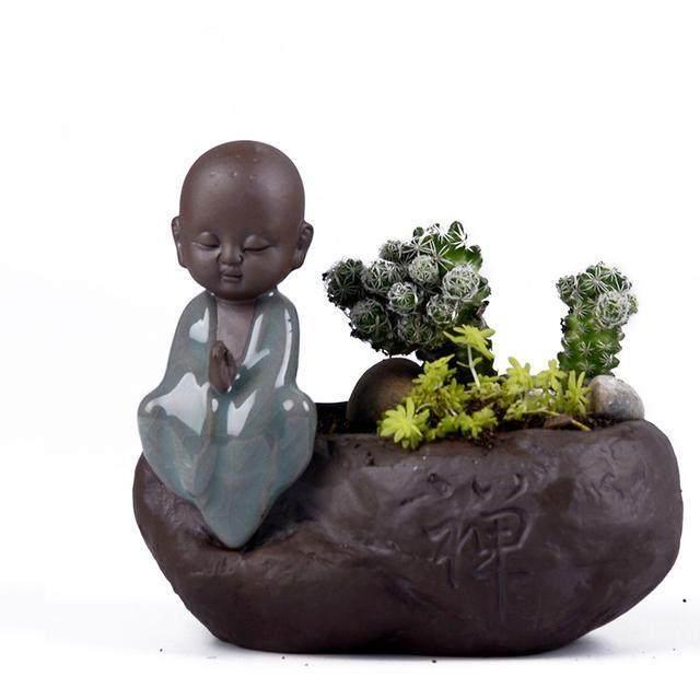 什么陶瓷花盆最好,陶瓷花盆养什么好