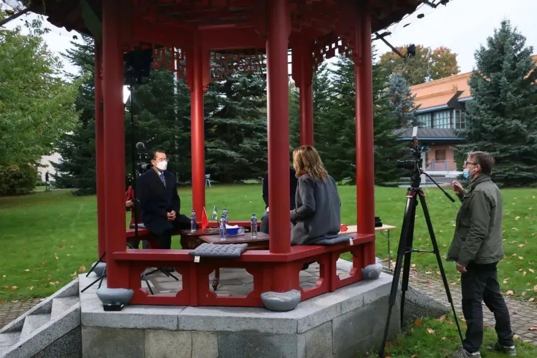 瑞典态度,瑞典的立场