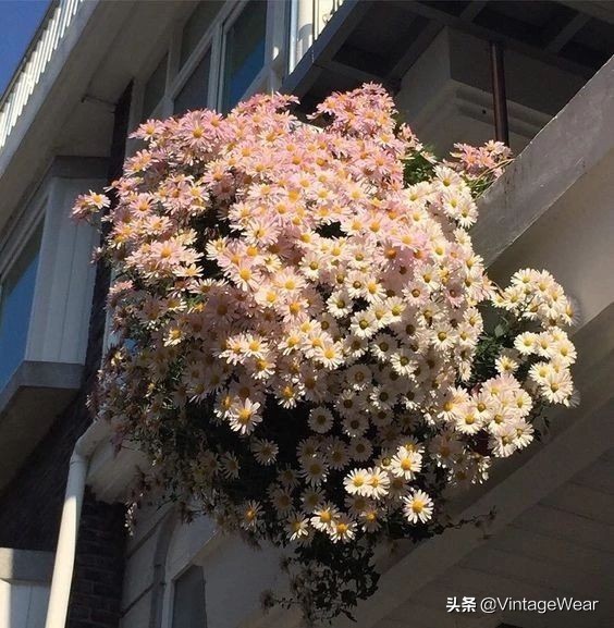 金泫雅的穿衣风格是什么,金泫雅ins大衣搭配